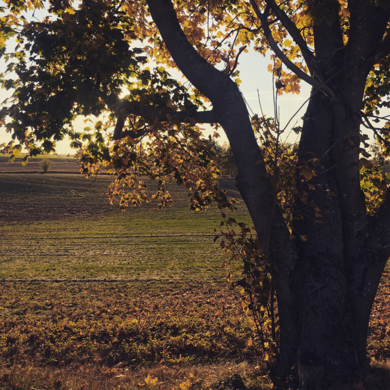 3FCF5915-574E-479A-8D04-268BE5443B7C