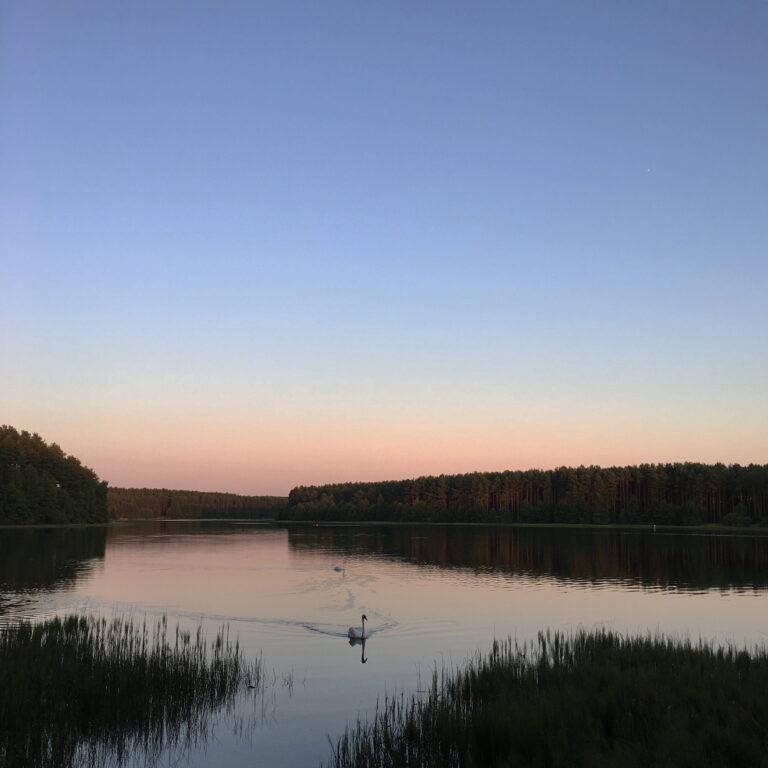 535480A0-BE1D-4E47-AD73-1595B5188B1F