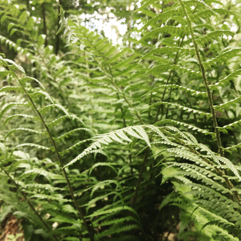 5820EFB5-A9DF-4D5B-B106-217EEDC5C1D9