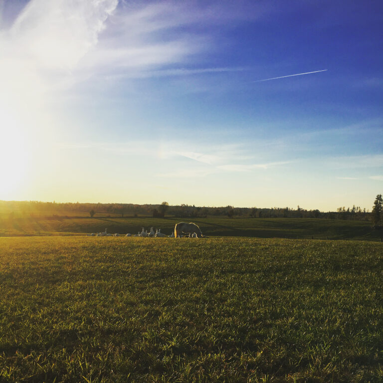 B1C4755C-AD5B-43AA-8D6E-8BFF7001FB05