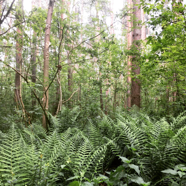 C7A62082-6DBB-4654-8CE5-0513C8744A46