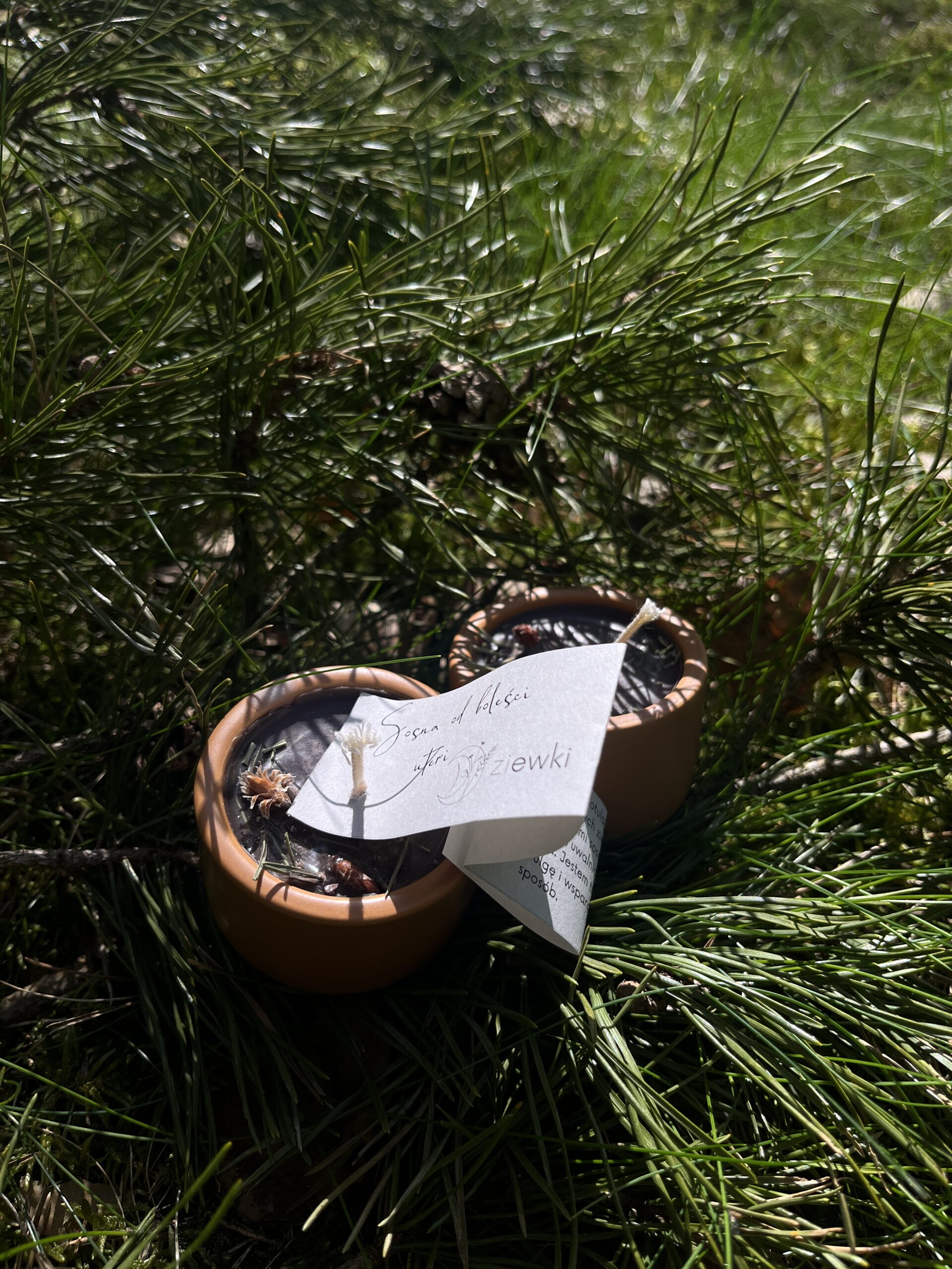 Dzika czarka - Sosna od boleści uteri - świeczka sojowa w ceramice - obrazek 3