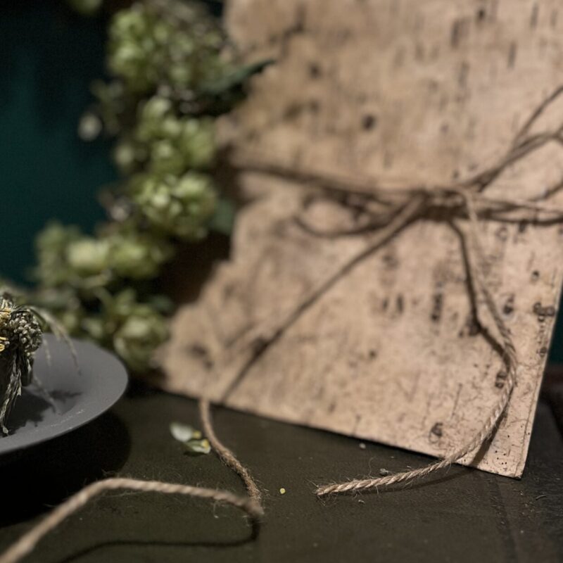 Arkusz kory brzozowej - List do Mokoszy