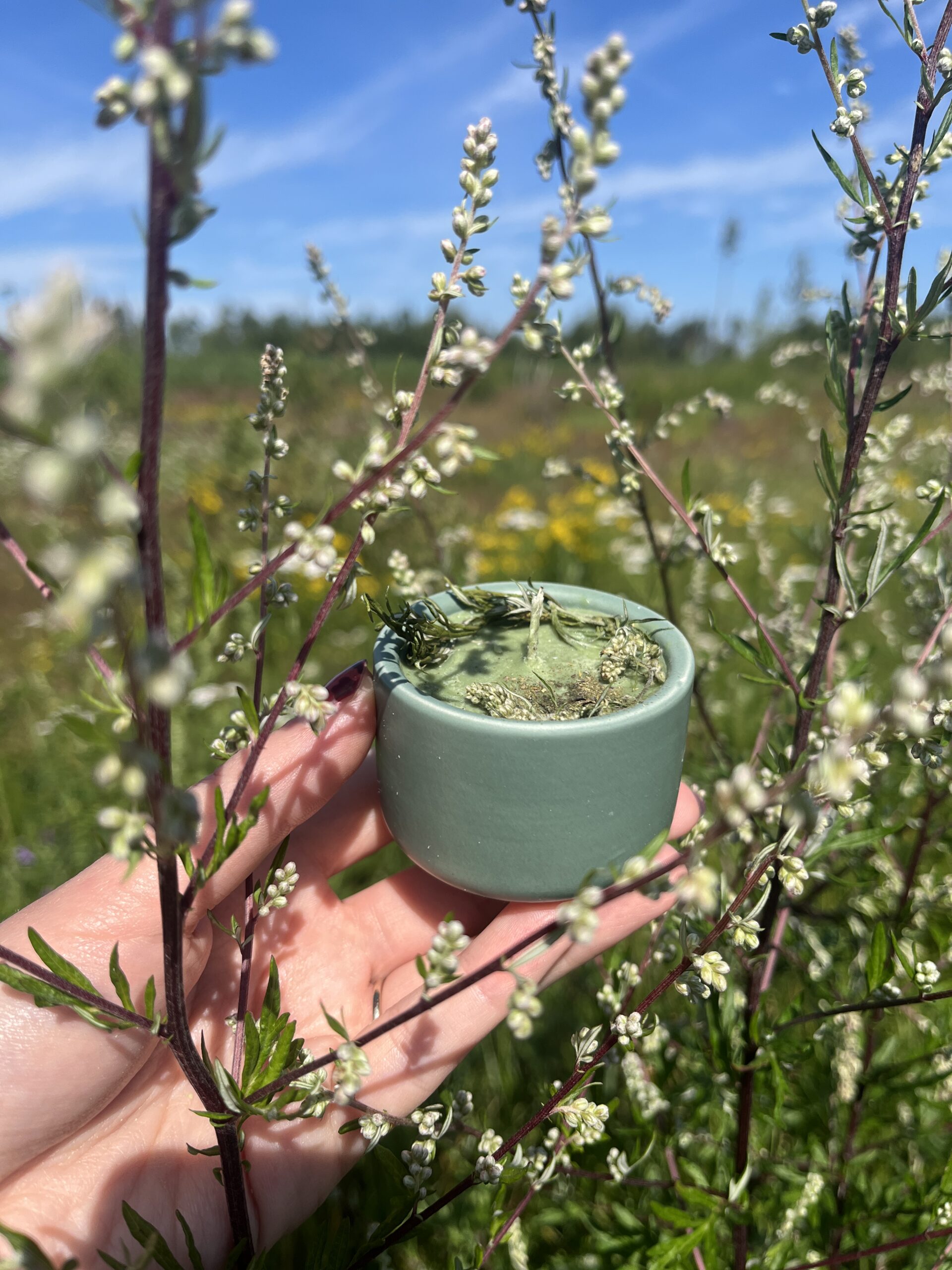 Dzika czarka – Potężna bylica – świeczka sojowa w ceramice - obrazek 2