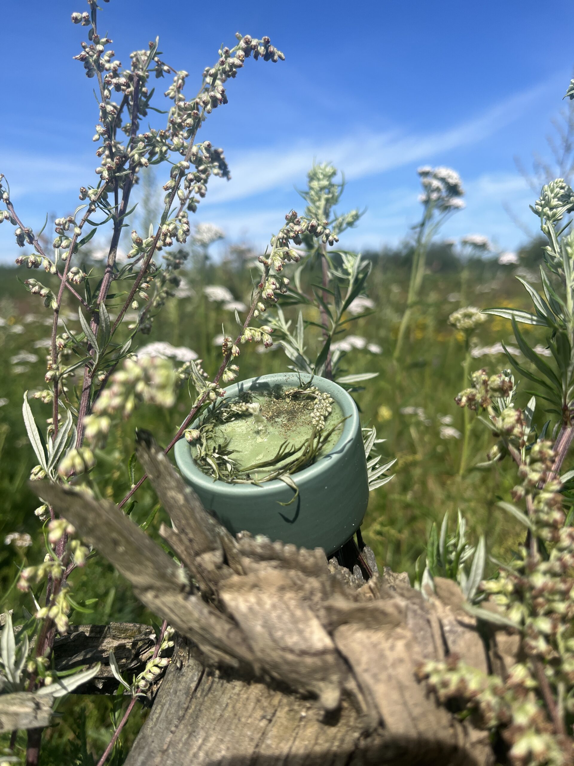 Dzika czarka – Potężna bylica – świeczka sojowa w ceramice - obrazek 3