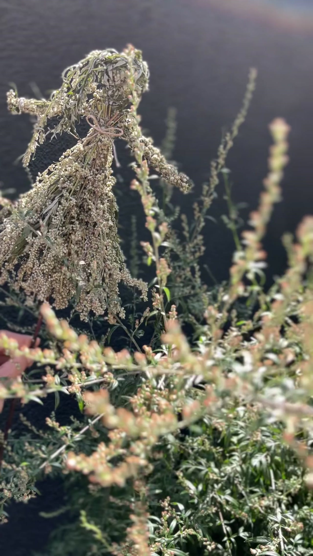 Lalka motanka – Bylicanka - motanka ziołowa - obrazek 5