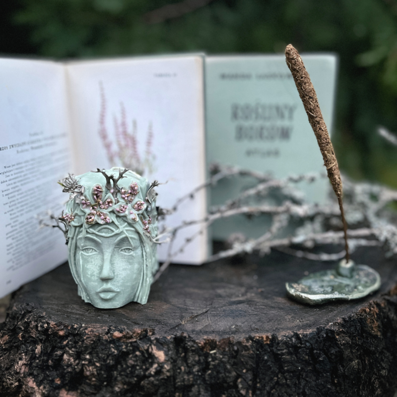 Zestaw Borowy – Box prezentowy dla miłośniczki gęstych, mglistych borów