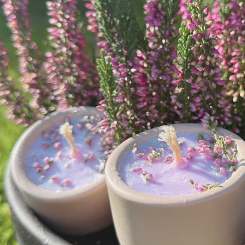 Dzika czarka - Szept wrzosowiska - świeczka sojowa w ceramice