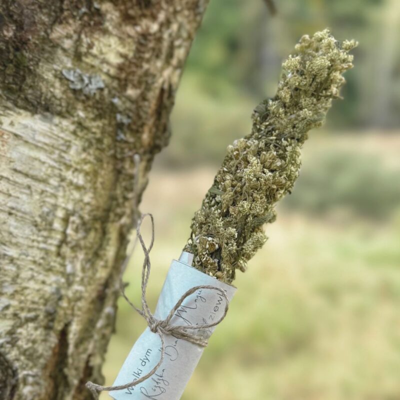 Wielki dym – Różdżka Białej Magii – duże kadzidło z krwawnika, dzikiej marchwi i białego nostrzyka wiązane