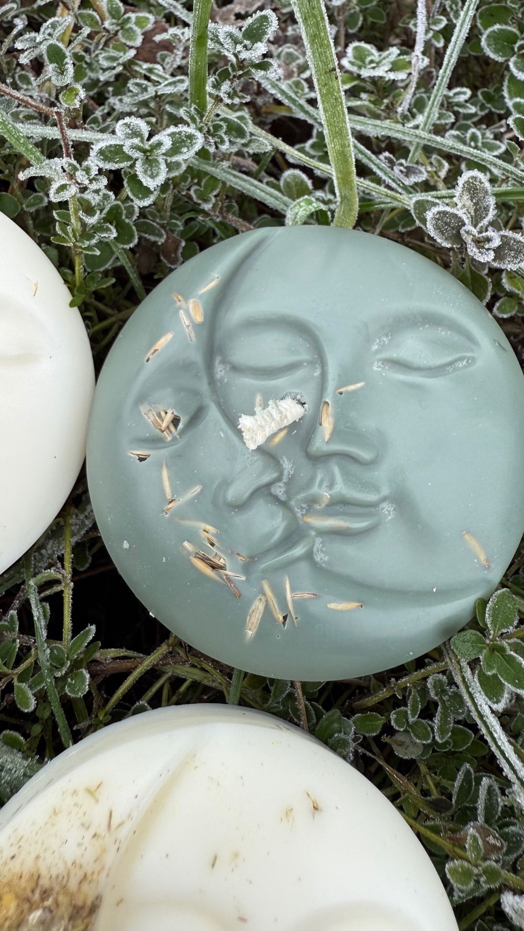 Pełnie na I kwartał - Stara Pełnia, Pełnia Śnieżna, Pełnia Zasiewu - obrazek 5